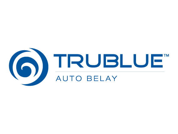 TRUBLUE auto belay