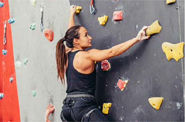 Climbing クライミング事業