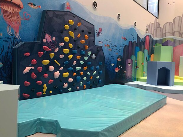 幼稚園/保育園/学校